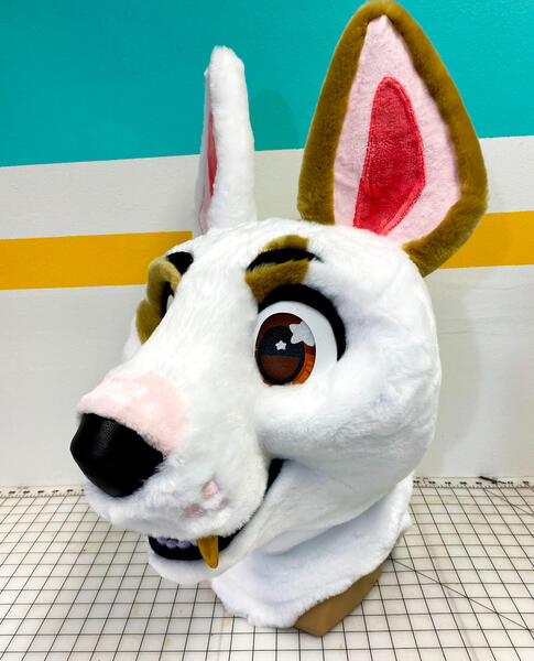 Charlie Bull Terrier 2021