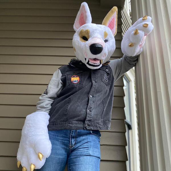 Artist Designed Bull Terrier 2020