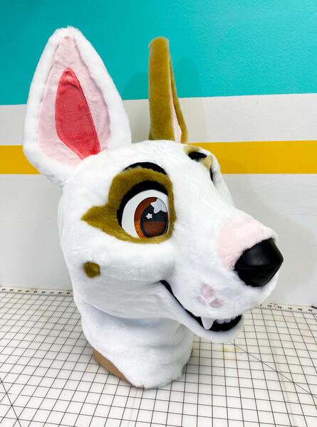 Charlie Bull Terrier 2021