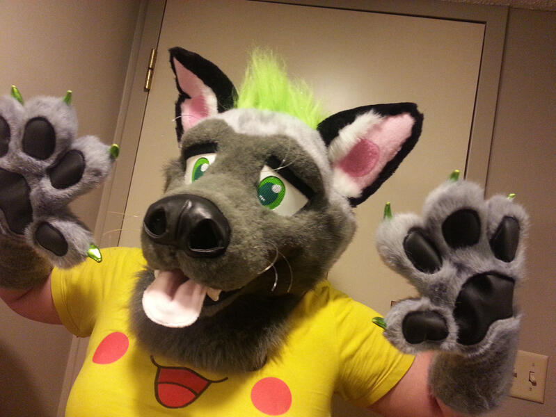 Artist Designed Hyena 2016