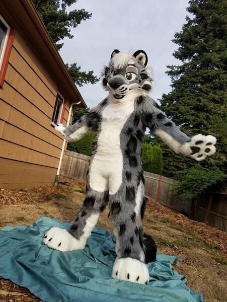 Selinar Snow Leopard 2017